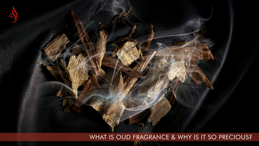 What is Oud Fragrance & Why is it so Precious?