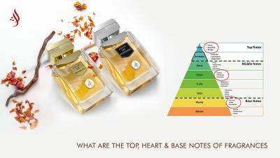 What are the Top, Heart & Base Notes of Fragrances